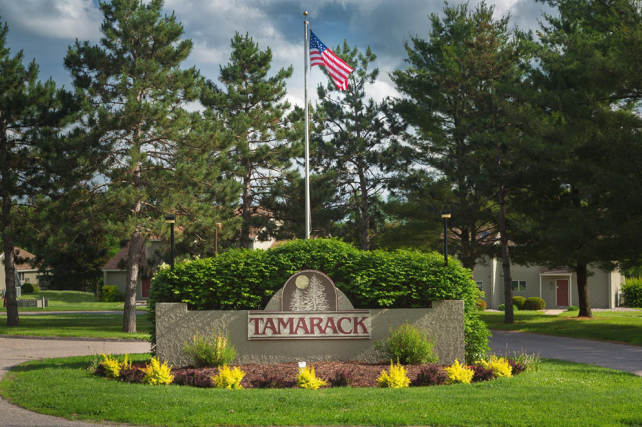 Tamarack Wisconsin Dells, A Ramada By Wyndham Hotel Bagian luar foto
